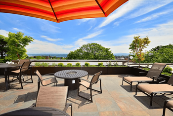 Roof top deck with fire pit and bbq's